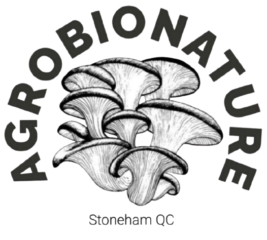 logo du site